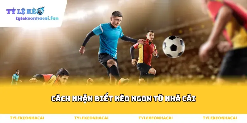 Cách nhận biết kèo ngon từ nhà cái