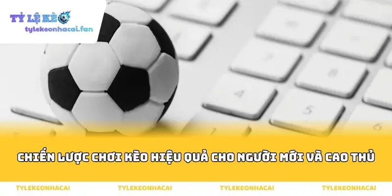 Chiến lược chơi kèo hiệu quả cho người mới và cao thủ