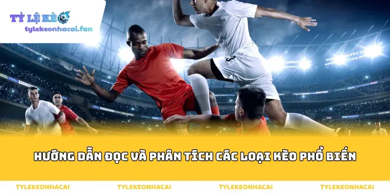 Hướng dẫn đọc và phân tích các loại kèo phổ biến