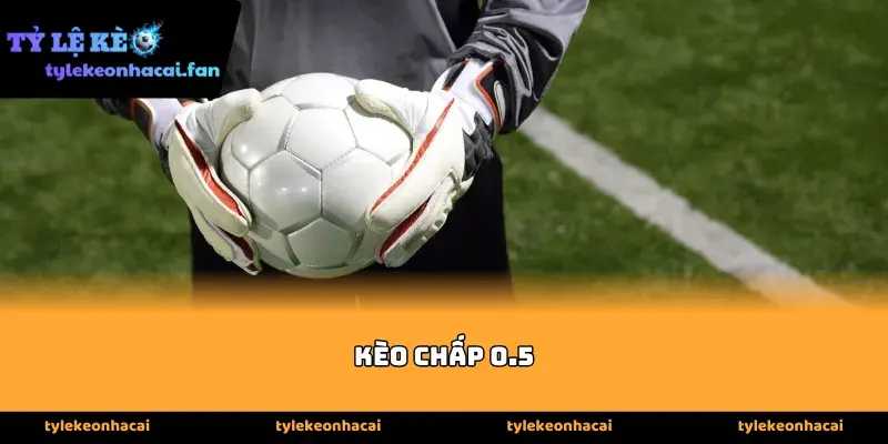 Tổng quan sức hút của hình thức Kèo chấp 0.5 hiện nay