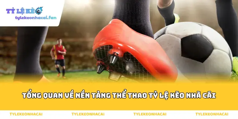 Tổng quan về nền tảng thể thao tỷ lệ kèo nhà cái